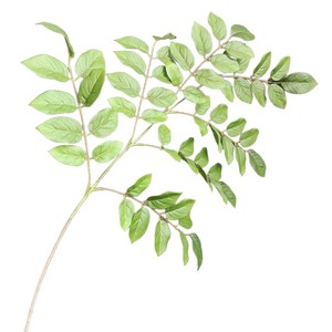Hojas Artificiales de Lagerstroemia de Tacto Real, Ramas de Olmo Verde Natural Artificial, Follaje Falso para Decoración Minimalista del Hogar - Product Image 5