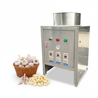 Nouvelle Machine à Éplucher l'Ail à Haute Capacité (30 kg/h) pour la Restauration Commerciale - Offre Spéciale Festival du Commerce