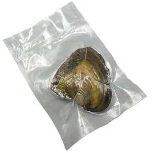 Wholesale natural Freshwater real pearl oyster Shell Wish Oyster fresh cultured oyster pearl