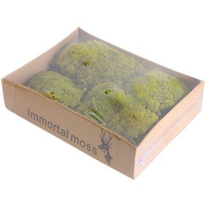 Musgo Artificial Dongguan Dream Castle, Verde, para Decoración de Interiores, Flores Preservadas, Plantas Decorativas - Product Image 5