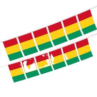 Guirlande de drapeaux de la Guinée, 20 drapeaux, 6 m, bannière en polyester, rayures verticales rouge, jaune, vert, pour décoration de fête