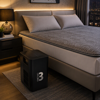 Système intelligent de refroidissement et de chauffage de lit à base d'eau, surmatelas double zone pour la maison, l'hôtel et les marques privées