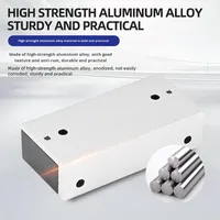 Cerradura Magnética Mini al por Mayor, Tamaño Compacto, Montaje Lateral en Superficie para Unidades de Almacenamiento de Gabinetes Personalizados y Cajas Eléctricas