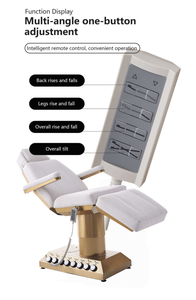High Quality Cosmetic Bed Electric Massage with 3 Motors Customizable Leather Stainless Steel Beauty Bed Chair Massage - Product Image 4
