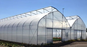 Serre Agricole Monovoûte à Film <span class=keywords><strong>Polycarbonate</strong></span>, Ensemble Complet, <span class=keywords><strong>Prix</strong></span> Direct Usine - Product Image 5