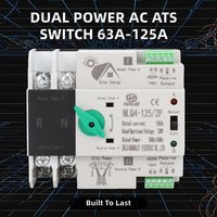 Commutateur de commutation de l'alimentation électrique photovoltaïque, commutateur AC ATS double alimentation PC 2P AC 220V 63A 100A 125A, inverseur automatique ATS, commutateur de changement de source