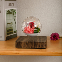 Lampe à rose éternelle à lévitation magnétique HCNT, ampoule LED, rose véritable conservée, lumières flottantes, lampe de table en bois, fleur pour cadeaux