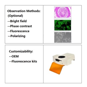 Microscope optique trinoculaire à fluorescence Boshida BD-NE610 Série 40X-1600X - Product Image 3