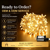 Guirlandes lumineuses LED personnalisées OEM, éclairage décoratif pour les fêtes, mariage, Noël, extérieur