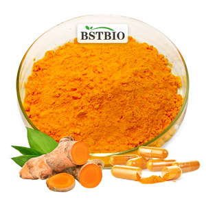 อาหารเสริมขมิ้นชัน BSTBIO สารสกัดจากรากขมิ้นชัน ผง 95% คูร์คูมิน - Product Image 1