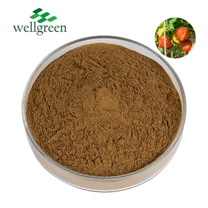 Wholesale Cheap Price High Quality Herbal Extract Indian Ginseng Ashwagandha Extract 5% Withanolide