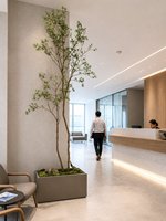 Palmier Artificiel en Plastique de 2,85 mètres de Haut, Rhododendron à Double Tronc, Résistant, Écologique, Réaliste, Durable, pour Intérieur