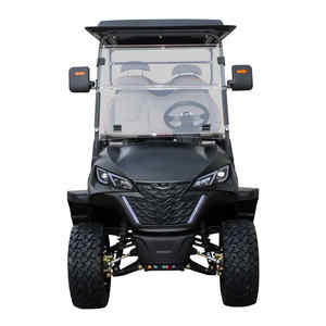 Buggy turístico de lujo, carrito de golf eléctrico de caza, 4 + 2 plazas, todoterreno, marco de acero de alta resistencia, certificado Eec - Product Image 5