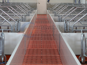 बकरी पालन शेड पोल्ट्री हाउस चिकन कॉप गाय मवेशी भवन सुअर फार्म परत पिंजरे अंडा घोड़ा स्थिर डिजाइन स्टील संरचनात्मक - Product Image 5