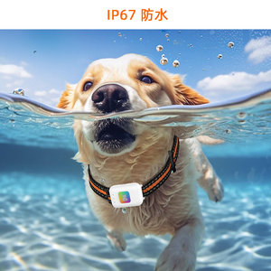 Meilleure Vente : Traceur <span class=keywords><strong>GPS</strong></span> 4G G63 <span class=keywords><strong>pour</strong></span> Animaux de Compagnie, <span class=keywords><strong>Collier</strong></span> Étanche Anti-Perte avec LED Couleur, Alarme Géo-clôture et Moniteur d'Activité & de Santé - Product Image 5