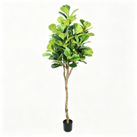 Pohon Fiddle Leaf Fig dengan Detail Bunga yang Konsisten Memberikan Tampilan Terpadu di Berbagai Lokasi Proyek