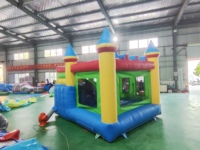 Château gonflable en PVC avec toboggan aquatique, structure de jeux gonflable commerciale, trampoline extérieur, jeux pour enfants et adultes, certifié CE