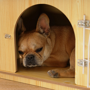Yüksek Kaliteli Modern Ahşap Köpek Kulübesi Kedi Kulübesi Lüks Su Geçirmez Büyük Irklar İçin Dış Mekan Evcil Hayvan Villası - Product Image 3
