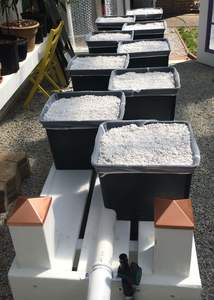 Système d'irrigation automatique de jardin Rdwc, système hydroponique DWC à bulles, seau hollandais de 5 gallons, pompe à faible bruit, PVC de qualité alimentaire pour serre - Product Image 3