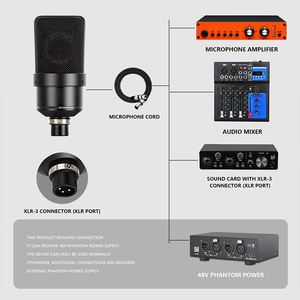 TML 103 スタジオコンデンサーレコーディングマイク プロフェッショナルボイスオーバーポッドキャストマイク 放送スタジオ録音放送用 - Product Image 4