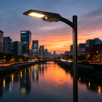 Lampadaire solaire LEAD avec une luminosité réelle de 6000LM/40W, indice de protection IP65, testé professionnellement pour les projets d'éclairage solaire extérieur