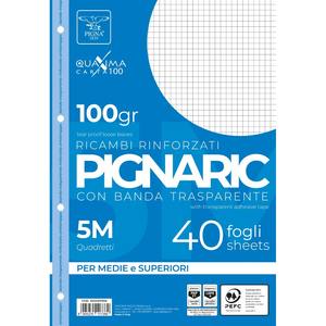 PIGNA - PAQUETE DE 40 HOJAS A4 REFORZADAS CUADRICULADAS RECARGABLES - Product Image 1