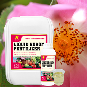 Fertilizante Líquido <span class=keywords><strong>de</strong></span> Boro 100% Soluble en Agua, 150g/L, Pulverización <span class=keywords><strong>Foliar</strong></span>, Promueve la Floración y el Fructificación para Cultivos <span class=keywords><strong>de</strong></span> <span class=keywords><strong>Frutas</strong></span>, Uso Agrícola - Product Image 2