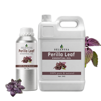 Minyak Esensial Daun Perilla 100% Alami, Distilasi Uap, Grade Kosmetik untuk Aromaterapi, Perawatan Kulit, Bahan Baku Parfum, Grosir OEM