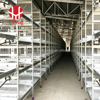 Cage à poulets de chair de type H, cage en batterie pour poulets de chair, 3 niveaux, avec plancher à lattes en plastique, alimentation et abreuvement automatiques, et système de collecte des excréments. Vente en gros.