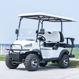 Carritos de Golf Profesionales Chinos de 2 Pasajeros y 4 Ruedas, Precios Económicos, Carrito Tipo Buggy en Venta, Carrito Pequeño para Golf - Product Image 4