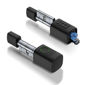 Euro easy <span class=keywords><strong>replacement</strong></span> fingerprint passcode chiave AAA batterie digitale elettronica tuya card cilindros in ottone smart lucchetto a cilindro - Product Image 1