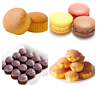 Machine à pâtisserie compacte et économique pour la fabrication de gâteaux, modèle 2026, en promotion en Chine