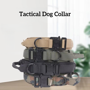 <span class=keywords><strong>Collar</strong></span> de Adiestramiento con Hebilla Metálica para Perros Medianos y Grandes, Conjunto de <span class=keywords><strong>Collar</strong></span> y Correa Táctica para Perros - Product Image 1