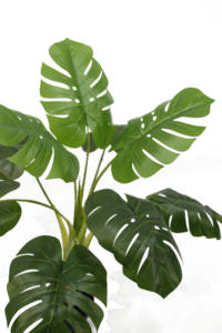 Usine pas cher prix intérieur réaliste Monstera <span class=keywords><strong>Albo</strong></span> plantes Deliciosa grand artificiel vert bonsaï plantes pour la décoration de la maison - Product Image 5