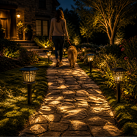 Lampe solaire LED SMD pour allée, 8LM, 3000K, résistante aux intempéries, lanterne de jardin extérieure avec batterie Ni-MH 1,2V AA 600mAh