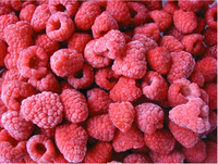 Hot Selling Iqf Bevroren Frambozen Hele Vruchten Goede Prijs Bulkverpakking Durian Type-Vers Geplukt En Ingevroren Op Piekrijpheid