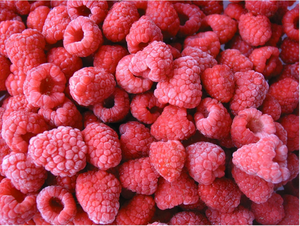 Vente chaude IQF Framboise Congelée Fruits Entiers Bon Prix Emballage En Vrac Type Durian-Fraîchement Cueillis et Congelés à Pleine maturité - Product Image 2