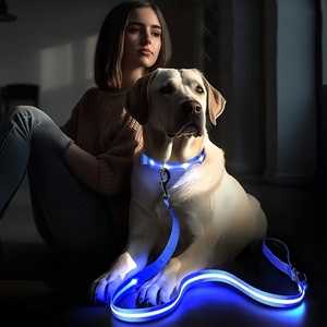 Laisse pour <span class=keywords><strong>chien</strong></span> LED, laisse pour <span class=keywords><strong>chien</strong></span> lumineuse, entièrement éclairée, rechargeable par USB, imperméable, en nylon réfléchissant, avec poignée rembourrée - Product Image 5