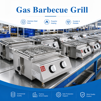Barbecue au gaz commercial en acier inoxydable, machine à kebab avec contrôle de température pour restaurant, hôtel, extérieur