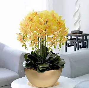 Indoor Luxury Garden Plant Pot, tigela Plantadores Decorativo Round Gold Foil Flower Pot Vase