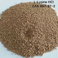 Lysine en poudre de qualité alimentaire, fortifiant nutritionnel, L-lysine, fourni par l'usine