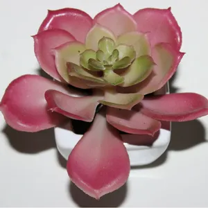 A buon mercato all'ingrosso bella mini cactus outdoor indoor decorativo artificiale piante succulente in vaso impostato per la vendita