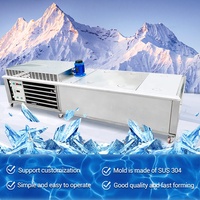 Machine à fabriquer des blocs de glace de grande capacité à eau salée de qualité commerciale pour le Nigéria