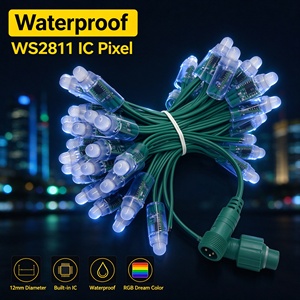 Luces LED WS2811 a Prueba de Agua, Módulos LED de 5V 12V 12mm, Caracteres Luminosos IP65, Guirnaldas de Luces para Publicidad, Exportadas - Product Image 1