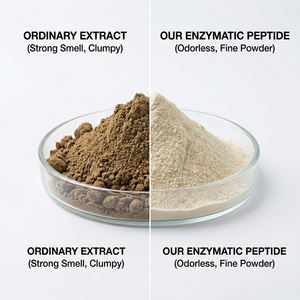 Poudre d'extrait d'huître certifiée Halal, naturelle et biologique, authentique, à haute teneur en peptides d'huître, protéines, zinc, taurine, pour les reins et la peau - Product Image 2