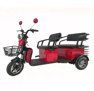 2023 Multi Color Fashion 3-Rad-Elektro-Dreirad-Mobilitätsroller 48V/60ah 500W