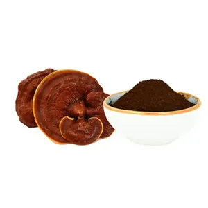Wholesale Pure Food Grade Ganoderma Lucidum Extract Powder Water Soluble Natural Lingzhi Reishi Spore <strong>Mushroom</strong> <strong>Seed</strong> - Product Image 6