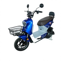 Nouveau vélo électrique 48V 20Ah 800W, 14 pouces, à cadre bas, pour trajets urbains, avec panier avant et siège passager