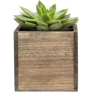 Cube Planter Box mit abnehmbarer Kunststoff folie (4 "x 4" x 4 ")(4 PCS) Wood Square Planter Indoor Dekorative Fenster box