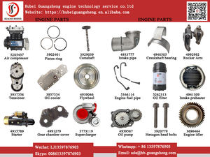قطع غيار محرك الديزل 3328836 مقياس النفط QSM11 ISM111 <span class=keywords><strong>M11</strong></span> 3328836 مقياس مستوى النفط مقياس - Product Image 5